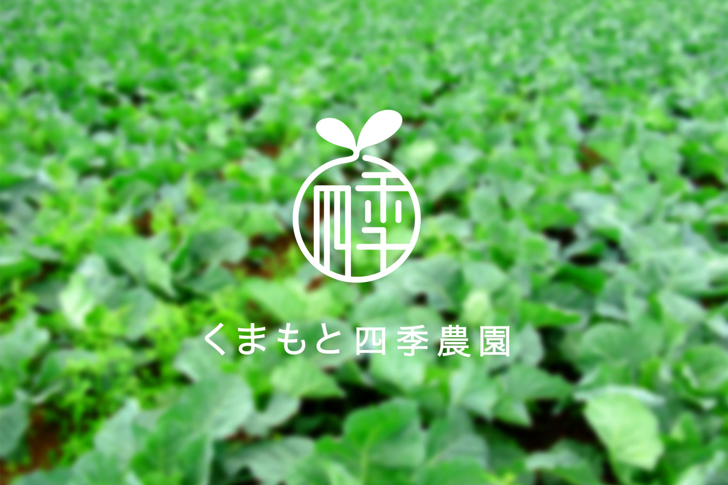 くまもと四季農園